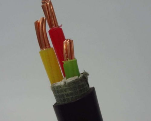 绝缘电线安全敷设规范指南 金属管、燃气管道与导线的正确处理方式